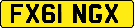 FX61NGX
