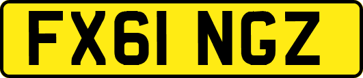 FX61NGZ