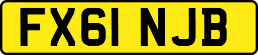 FX61NJB