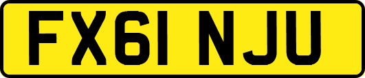 FX61NJU