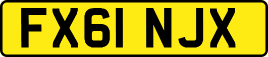 FX61NJX