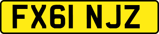 FX61NJZ