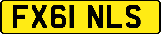 FX61NLS