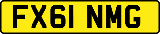 FX61NMG
