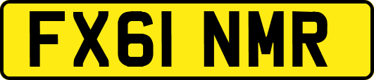 FX61NMR