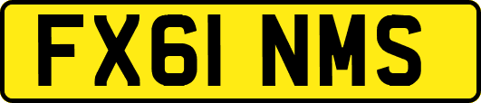 FX61NMS