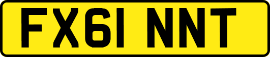 FX61NNT