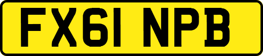 FX61NPB