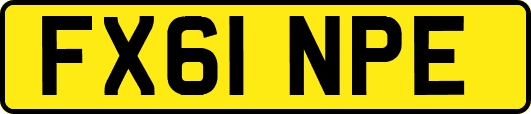 FX61NPE