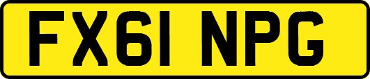 FX61NPG