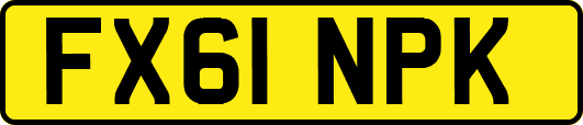 FX61NPK