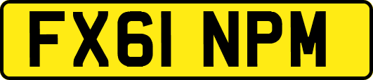 FX61NPM