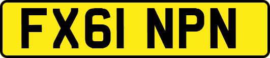 FX61NPN