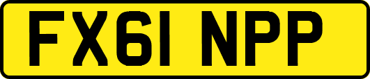 FX61NPP