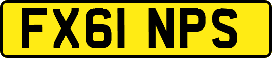FX61NPS