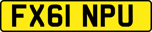 FX61NPU
