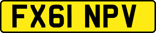 FX61NPV