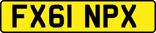 FX61NPX