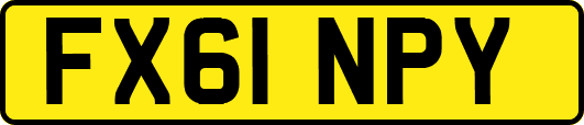 FX61NPY