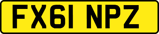 FX61NPZ