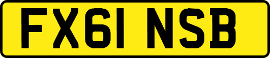 FX61NSB