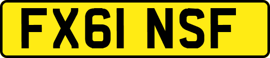 FX61NSF