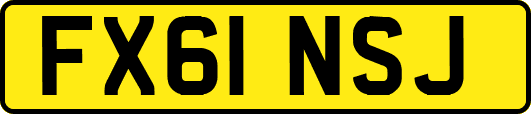 FX61NSJ