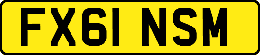 FX61NSM