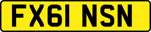 FX61NSN
