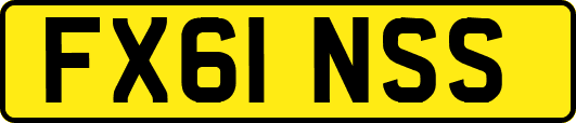 FX61NSS