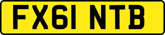FX61NTB