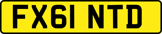 FX61NTD