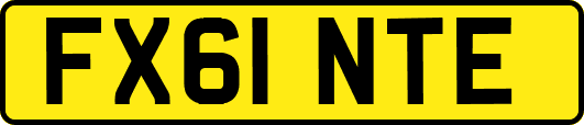 FX61NTE