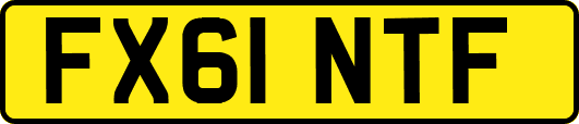 FX61NTF