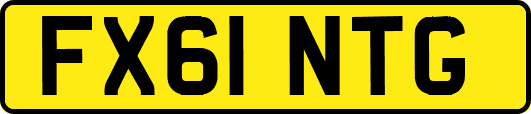 FX61NTG