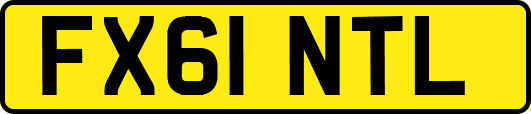 FX61NTL