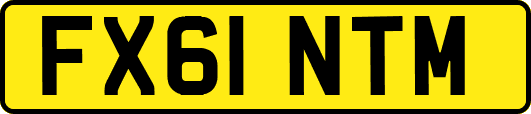 FX61NTM