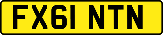 FX61NTN
