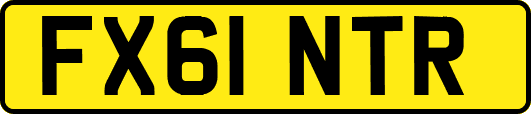 FX61NTR