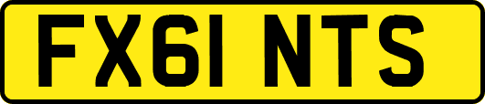 FX61NTS