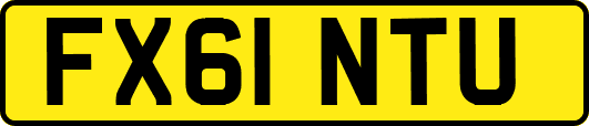 FX61NTU