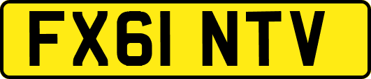 FX61NTV