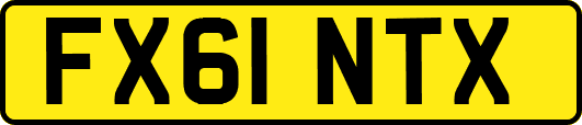 FX61NTX