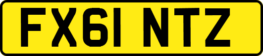 FX61NTZ