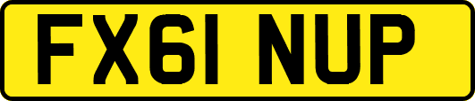 FX61NUP