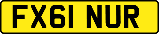 FX61NUR