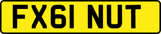 FX61NUT