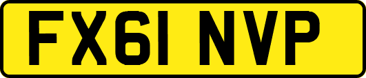 FX61NVP