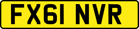 FX61NVR