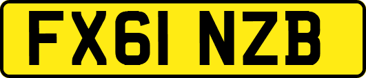FX61NZB